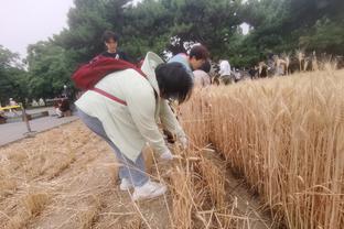 雷竞技最新网址